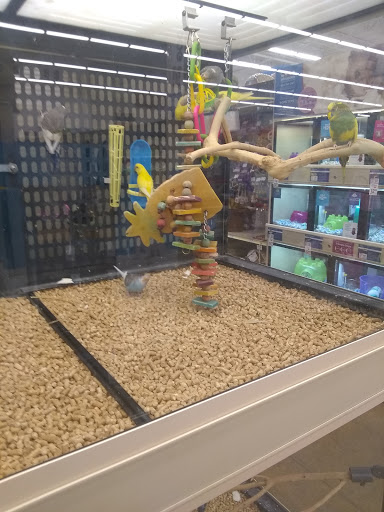 Pet Supply Store «PetSmart», reviews and photos, 5812 Youngstown Warren Rd, Niles, OH 44446, USA
