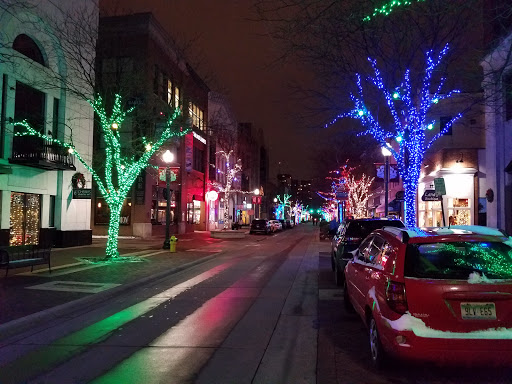 Museum «Kalamazoo Institute of Arts», reviews and photos, 314 S Park St, Kalamazoo, MI 49007, USA