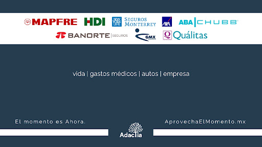 Adactia Seguros