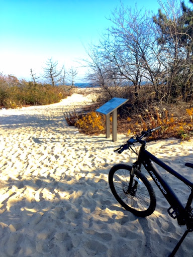 Bicycle Store «Pedego Electric Bikes of Spring Lake», reviews and photos, 217 Jersey Ave, Spring Lake, NJ 07762, USA