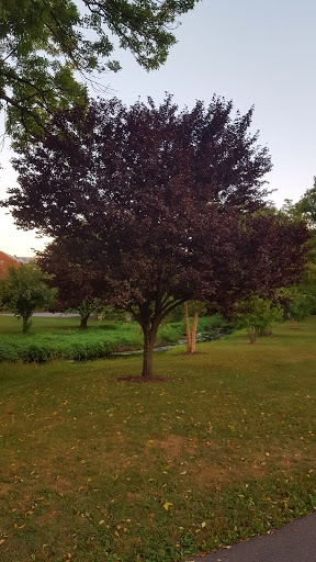 Park «Nichols Park», reviews and photos, 898 Bloomfield Ave, Nutley, NJ 07110, USA