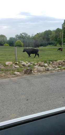 Butcher Shop «Duma Meats Inc», reviews and photos, 857 Randolph Rd, Mogadore, OH 44260, USA