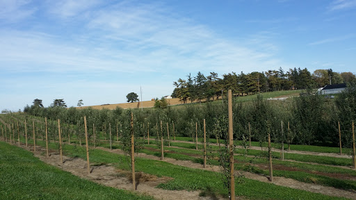 Farm «Arbor Day Farm», reviews and photos, 2611 Arbor Ave, Nebraska City, NE 68410, USA