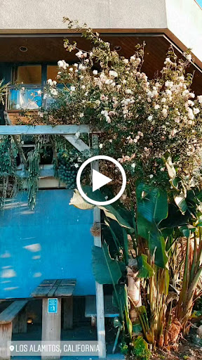 Florist «Enchanted Florist», reviews and photos, 11102 Los Alamitos Blvd, Los Alamitos, CA 90720, USA