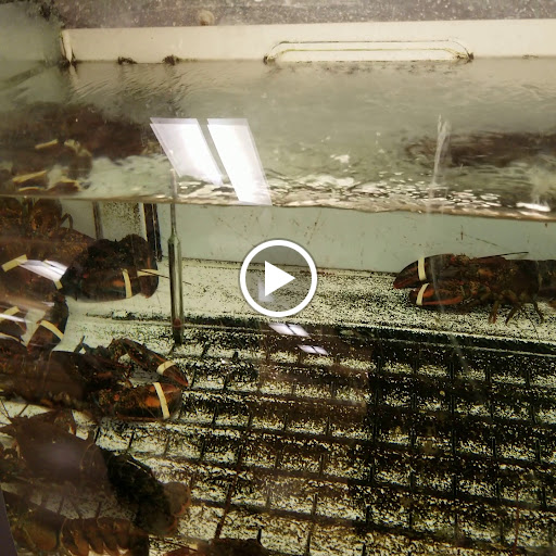 Grocery Store «Stop & Shop», reviews and photos, 32 Lyman St, Westborough, MA 01581, USA