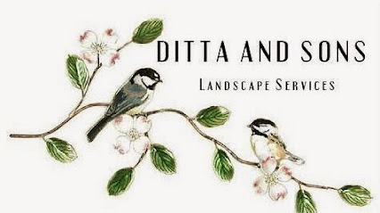 Ditta & Sons - Professional Landscape Services