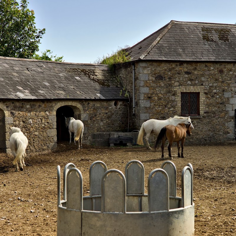 Brennanstown Riding School