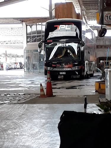 Opiniones de Buses Talca Paris y Londres en Talca - Servicio de transporte