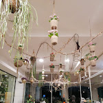 Photo n°1 de l'avis de Elsa.e fait le 13/03/2022 à 14:25 sur le  Chrissy Cafe' à Adro