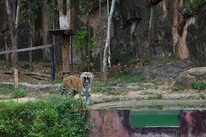 Khon Kaen Zoo image