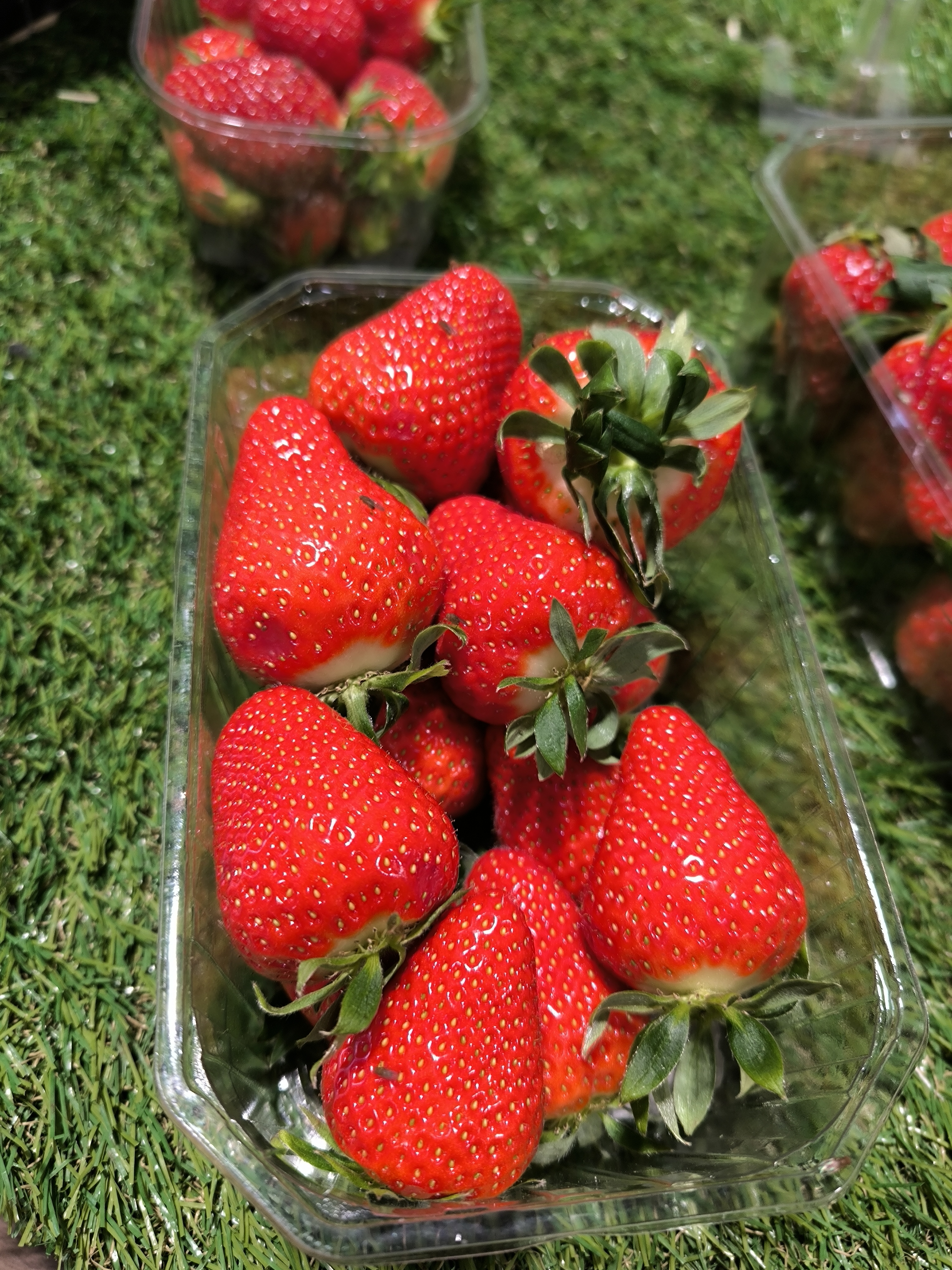 Photo n° 21 de l'avis de Sandrine.G fait le 21/03/2024 à 17:52