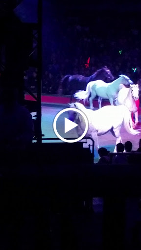 Tennis Court «Stadium Tennis Center», reviews and photos, 725 Gateway Center Blvd, Bronx, NY 10451, USA