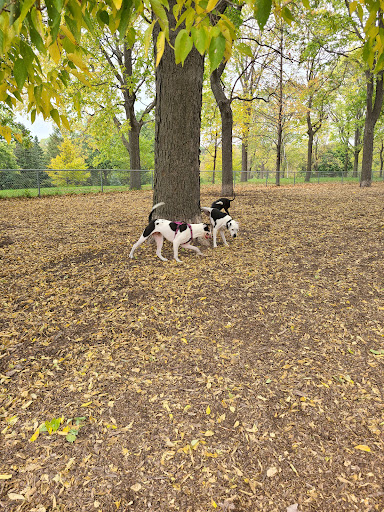 Dog Park «St. Anthony Parkway Off-Lease Dog Park», reviews and photos, 700 St Anthony Pkwy, Minneapolis, MN 55418, USA
