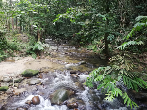 Sungai Congkak Recreational Forest