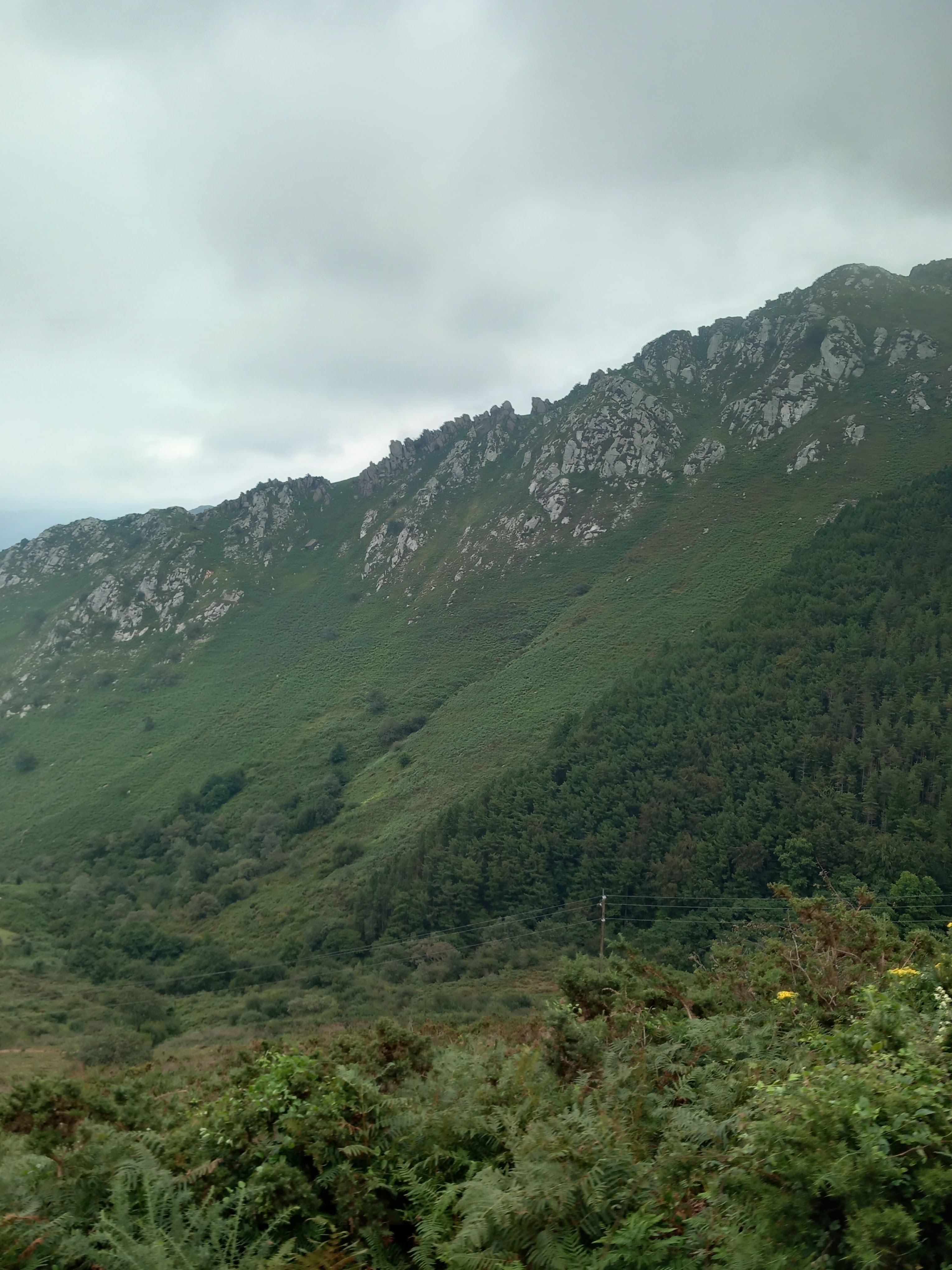Photo n° 1 de l'avis de Gwladys.a fait le 19/08/2023 à 22:23