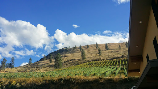 Vineyard «Mellisoni Vineyards», reviews and photos, 3155 US-97 ALT, Chelan, WA 98816, USA