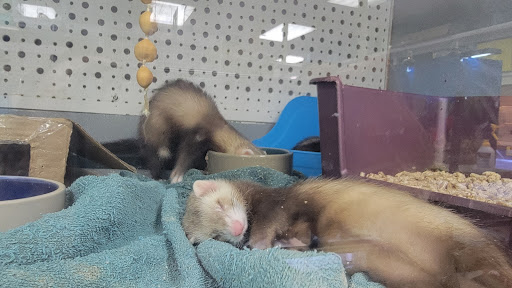 Pet Store «Animal Ark Pet Stores», reviews and photos, 33 Center St, Orem, UT 84057, USA