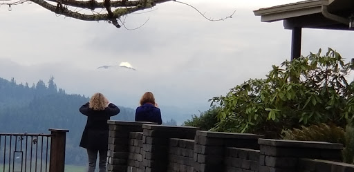 Winery «Sarver Winery», reviews and photos, 25600 Mayola Ln, Eugene, OR 97402, USA