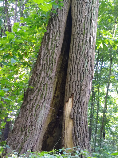 Golf Course «Woodruff Golf Course», reviews and photos, 621 Gougar Rd, Joliet, IL 60432, USA