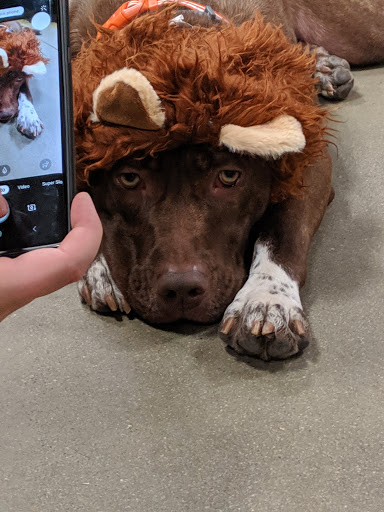 Pet Supply Store «PetSmart», reviews and photos, 160 Washington St #701, Rochester, NH 03839, USA