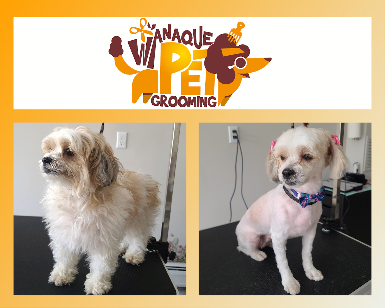 Wanaque Pet Grooming LLC