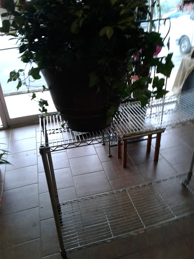 Florist «Oak Hills Florist», reviews and photos, 1729 Babcock Rd, San Antonio, TX 78229, USA