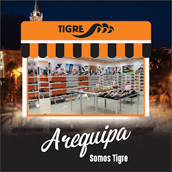 Zapatillas Tigre Arequipa