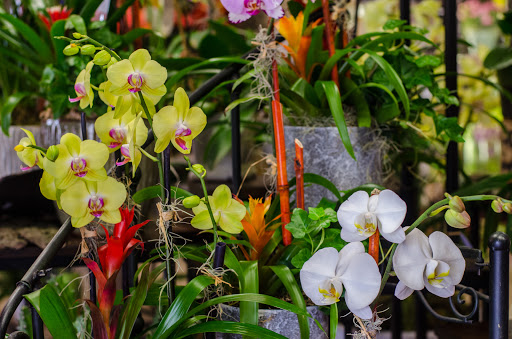 Florist «Flowermart Florist», reviews and photos, 185 E Indiantown Rd #221, Jupiter, FL 33477, USA