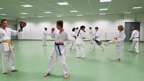 Taekwondo Club Daniel Bottero à Aix-les-Bains