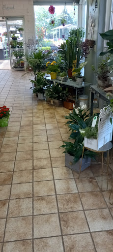 Florist «Pletschers», reviews and photos, 641 Old Hwy 8 SW, New Brighton, MN 55112, USA