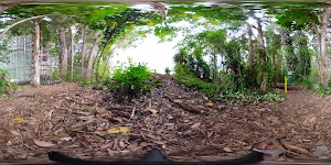 Schofield Waikane Trail - photo 28