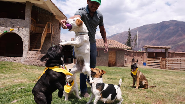 SACRED DOGS HOSPEDAJE Y CENTRO DE ADIESTRAMIENTO CANINO CUSCO - Pachas