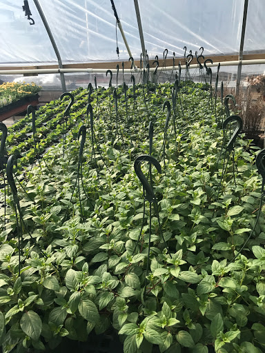 Garden Center «Lake Anna Nursery», reviews and photos, 71 Oak Grove Dr, Mineral, VA 23117, USA