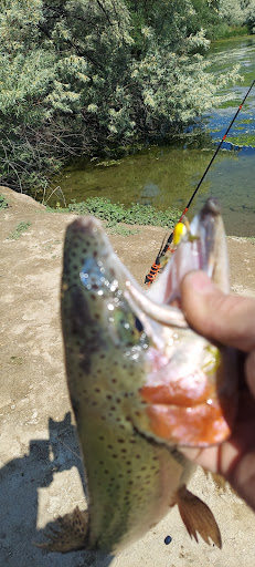 Nature Preserve «Wilson Springs Ponds», reviews and photos, 3209-3507 S Powerline Rd, Nampa, ID 83686, USA