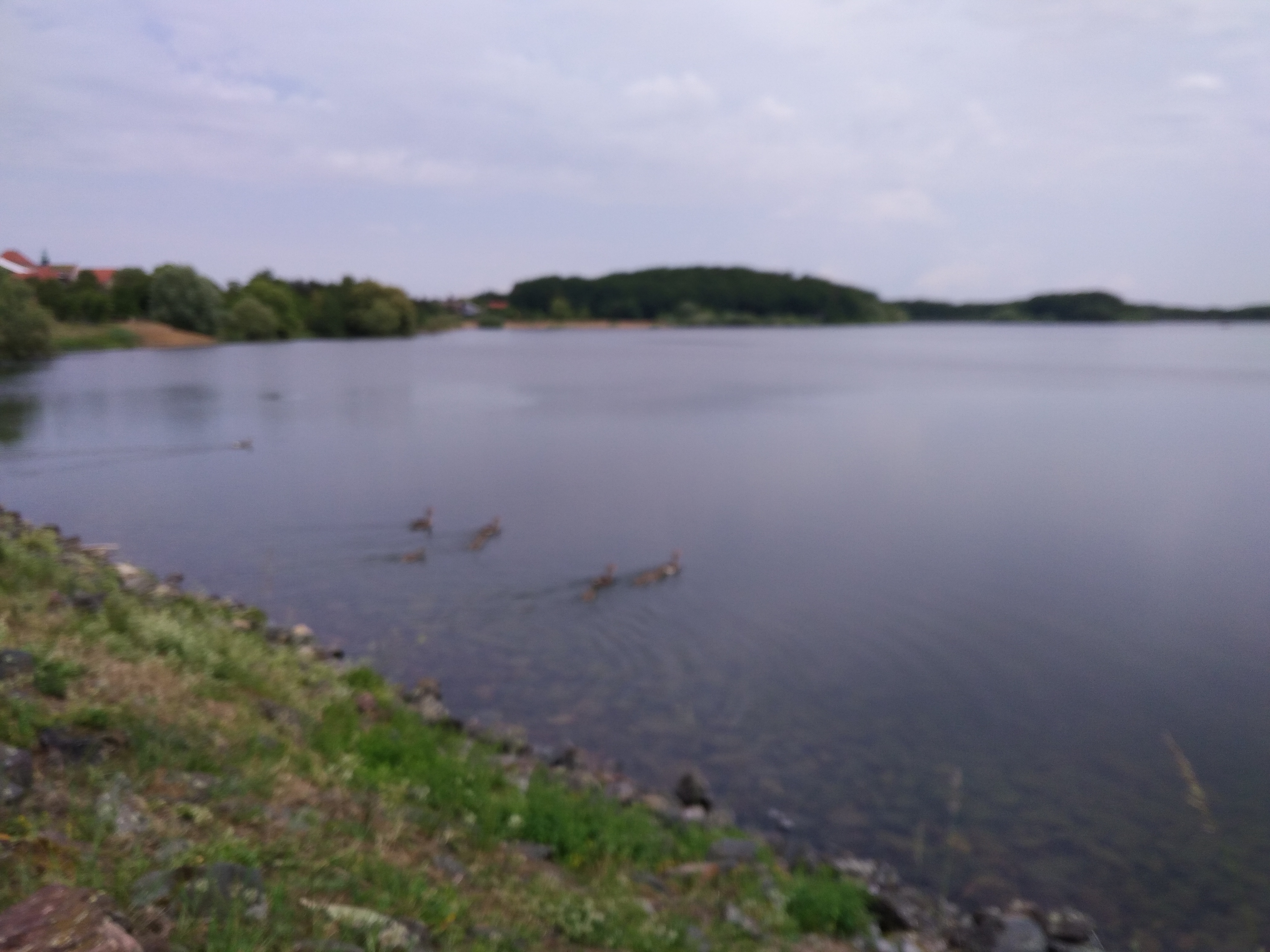 Photo n° 4 de l'avis de Titeanguille.r fait le 10/07/2018 à 04:47