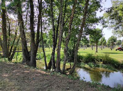 Piscine à Sainte-Hermine