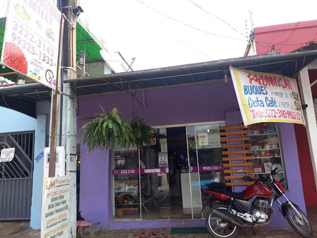 Emilly Floricultura Porto Velho 24 horas