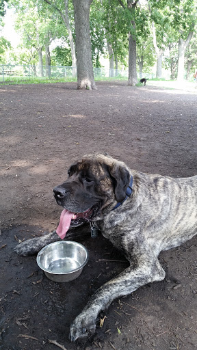 Dog Park «St. Anthony Parkway Off-Lease Dog Park», reviews and photos, 700 St Anthony Pkwy, Minneapolis, MN 55418, USA