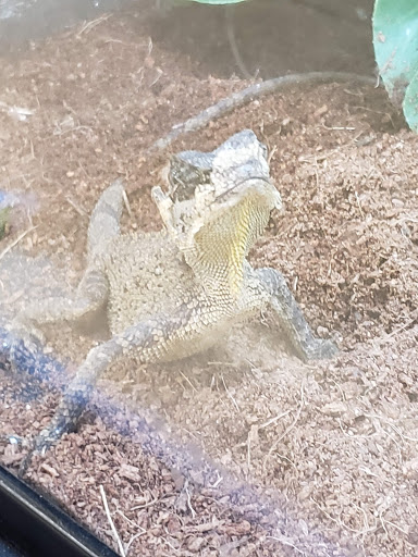 Pet Supply Store «Petco Animal Supplies», reviews and photos, 5601 Brodie Ln, Sunset Valley, TX 78745, USA