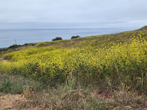 Nature Preserve «Pismo Preserve», reviews and photos, Mattie Rd, Pismo Beach, CA 93449, USA