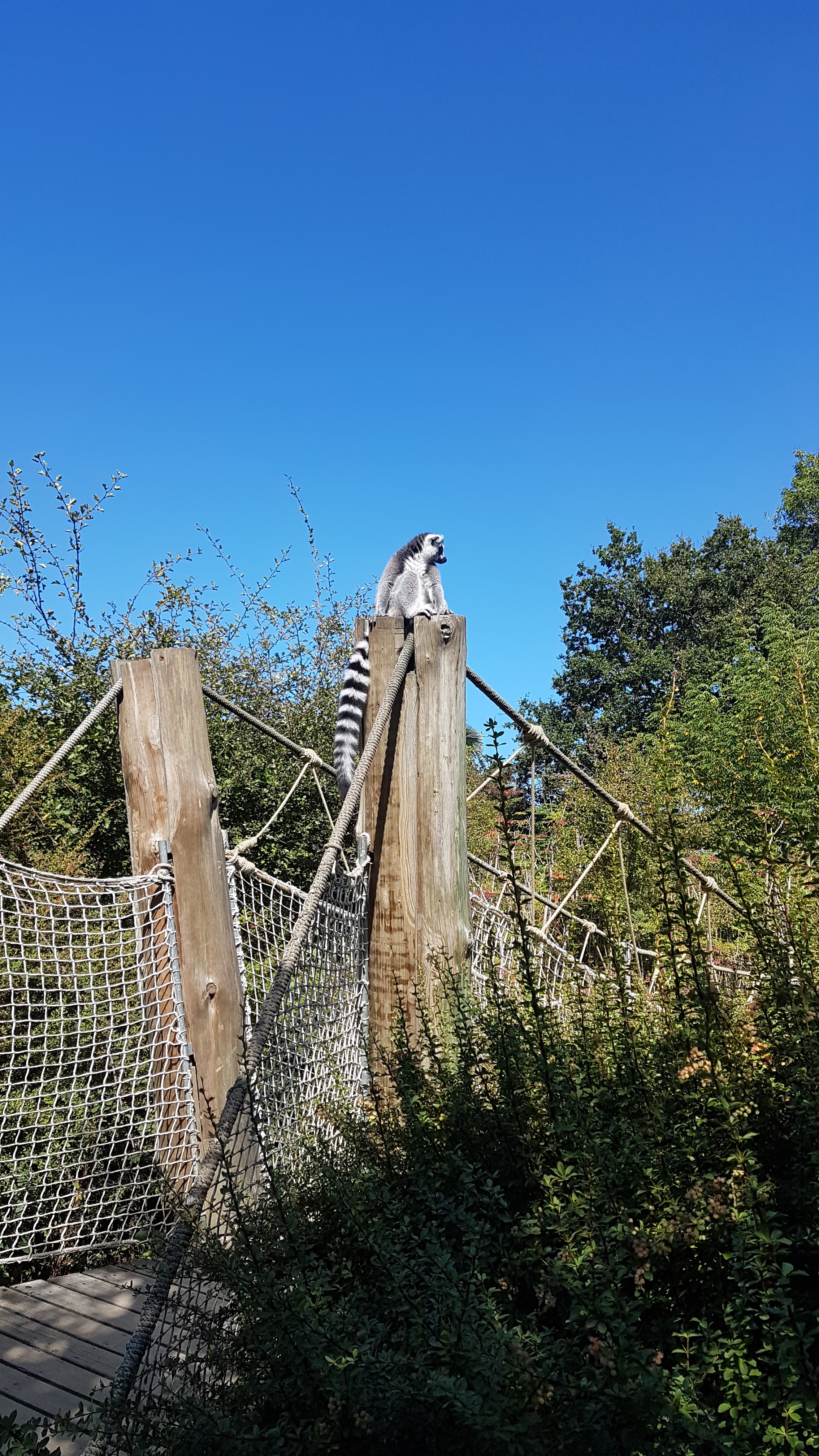Photo n° 1 de l'avis de Geraldine.e fait le 15/09/2019 à 12:22