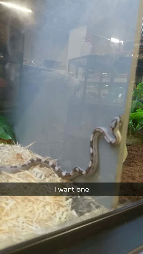 Pet Supply Store «Petco Animal Supplies», reviews and photos, 1742 Hamilton Blvd, Sioux City, IA 51103, USA