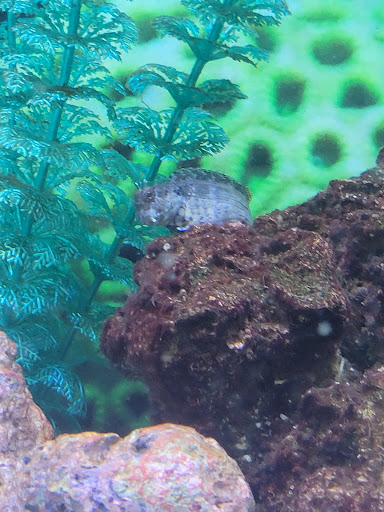 Pet Supply Store «Petco Animal Supplies», reviews and photos, 2805 E 29th Ave, Spokane, WA 99223, USA