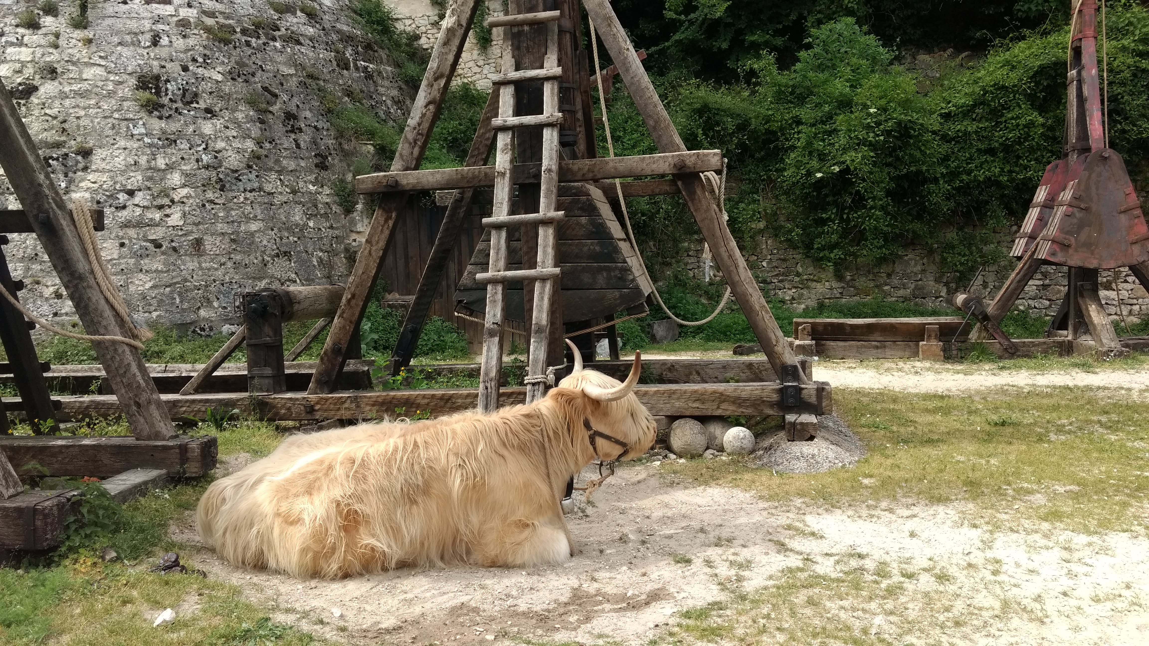 Photo n° 1 de l'avis de Viviane.o fait le 01/06/2019 à 10:09