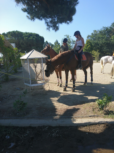 Clube Hípico de Valongo