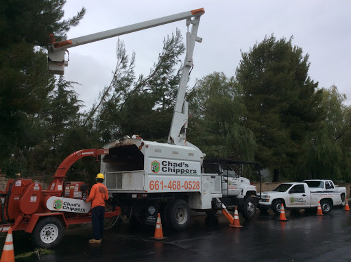 Chads Chippers Tree Service
