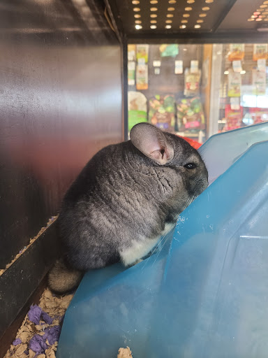 Pet Supply Store «Petco Animal Supplies», reviews and photos, 205 Palm Bay Rd NE #155, West Melbourne, FL 32904, USA