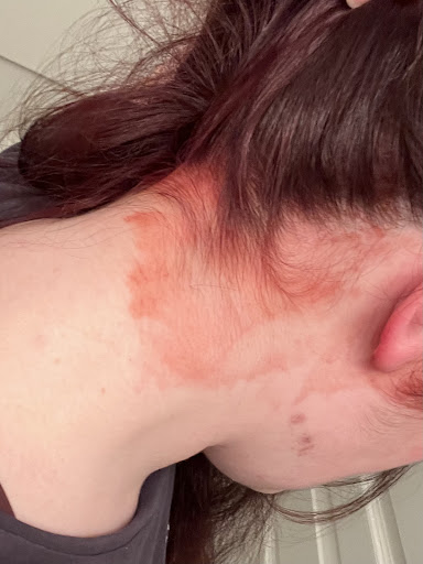 Hair Salon «Bouffant Hair Salon», reviews and photos, Bouffant Hair Salon, 2695 SW Cedar Hills Blvd, Beaverton, OR 97005, USA