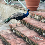 Photo n°8 de l'avis de Ana.e fait le 11/06/2023 à 11:59 sur le  Antico Casale La Pieve à Casole d'Elsa