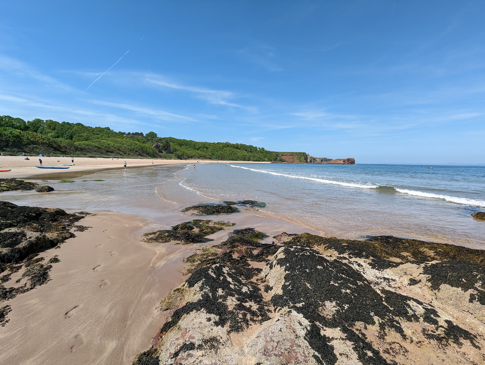 Foto von Seacliff Beach umgeben von Bergen